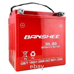Harley Davidson Motorcycle Battery Replacement by Banshee with a 4 Year Warranty